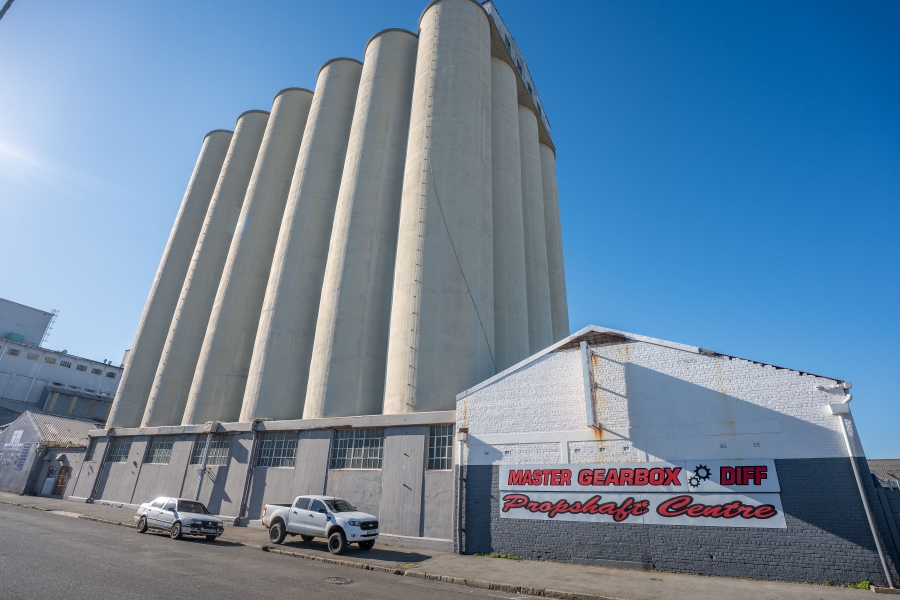 Commercial Property for Sale in Arcadia Eastern Cape